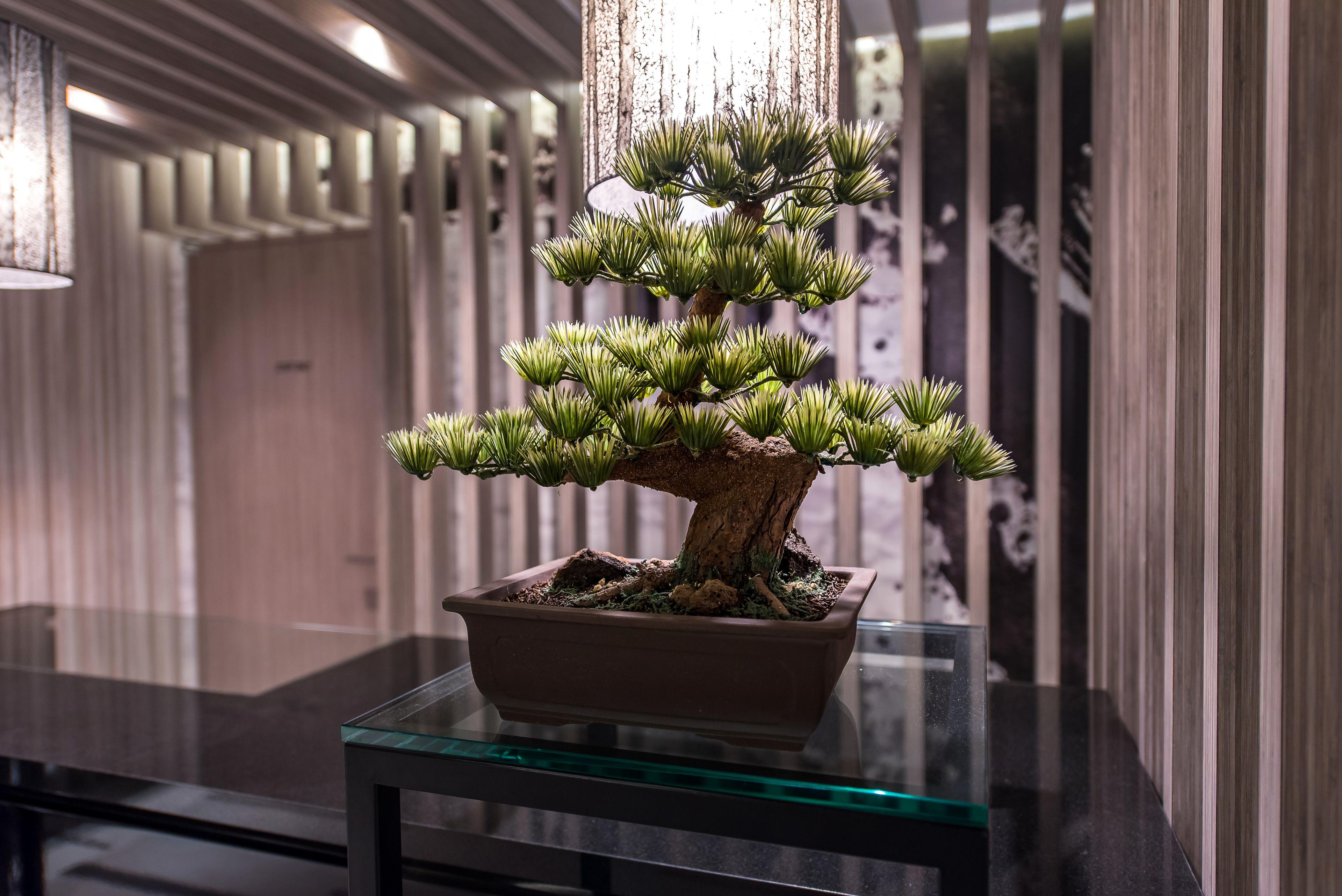 Hotel Ann Asakusa — Photos 2